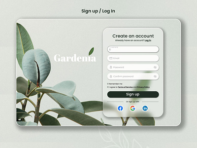 Daily UI - Sign Up page