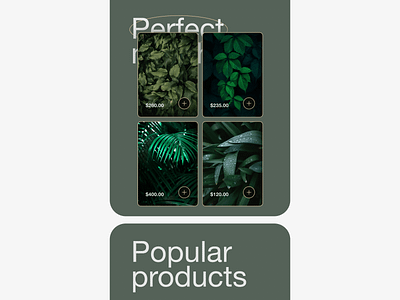 [C] → Plant shop app concept app design ecommerce headline homescreen main plant shop tile typography ui ux