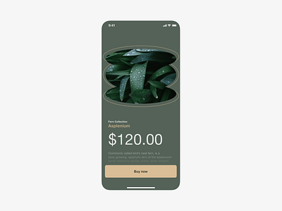 [C] → Plant shop app concept app design ecommerce headline homescreen main plant shop tile typography ui ux