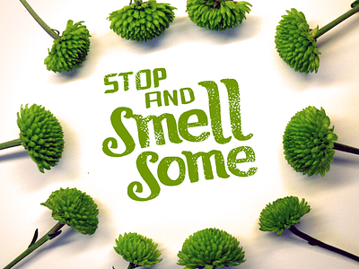Stop and Smell Some... Even the Flowers You Can't Name art direction hand lettering photography typography