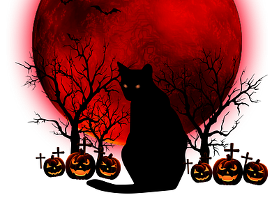 Halloween Black Cat Png