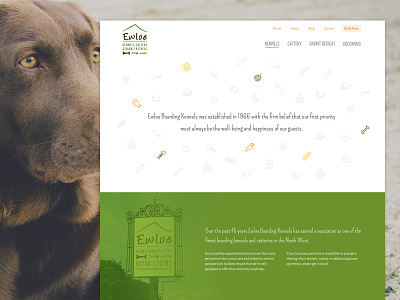 Kennels, Cattery & Rabbit Retreat Website cat dog fun home icons kennels menu minimal website