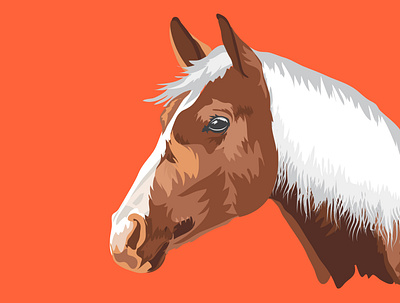 Vector Horse. design graphic design illustration vector