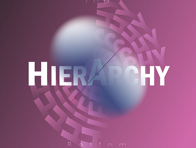 Hierarchy. design graphic design illustration vector