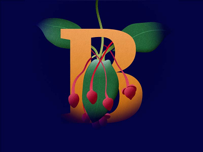 B For Berberidopsis adobe art b berberidopsis flora green illustration illustrator leaves plant type typography