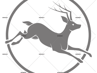 landway mark logo mark wip