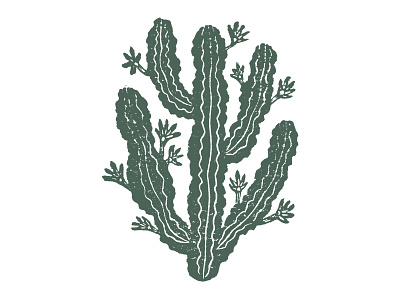 Cereus Cactus Linocut Print