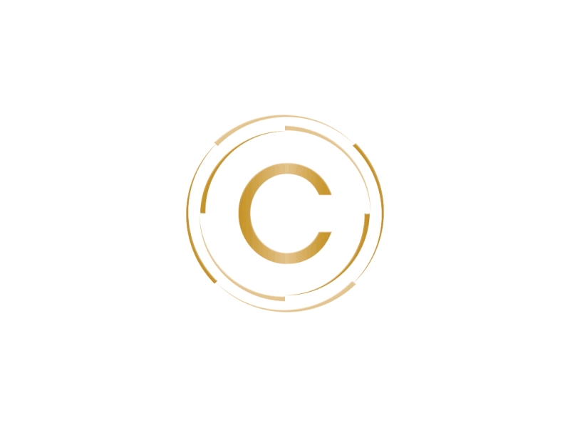 Copastar branding identity logo pole star