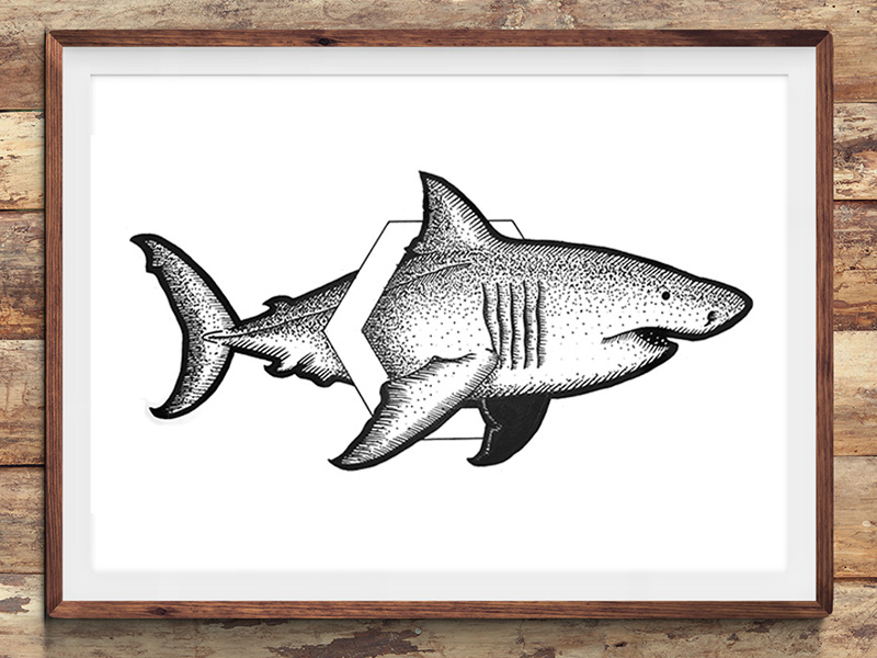 HexaShark art black and white digital art drawing illustration lineart nautical pen salt sea shark sketch