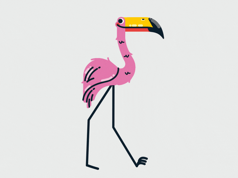 Flamingo animation flamingo gif illustration loop mograph vector walkcycle