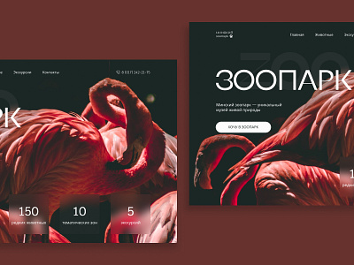Concept for the zoo design ui ux