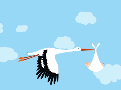 Flying Stork Animation with Baby
