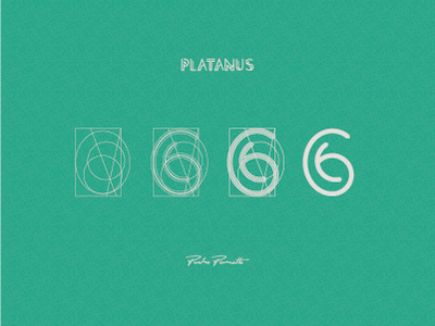 Platanus "6" brand diagram grid letra logotype tipografia typography