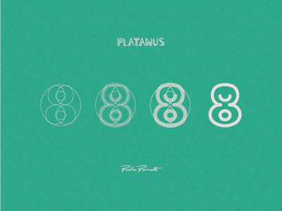 Platanus "8" brand diagram grid letra logo organic outline tipografia typography
