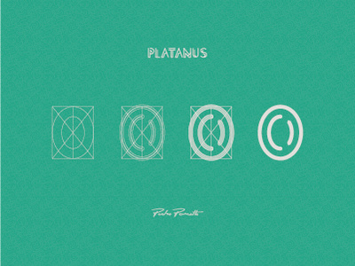 Platanus "0" diagram grid letra logo outline tipografia typography