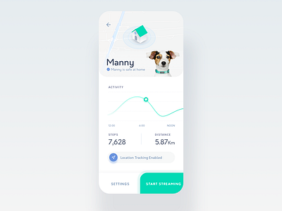 Pet Activity Dashboard activity app dashboard dog graph location map pet tracking tracking app