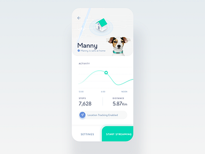 Pet Activity Dashboard