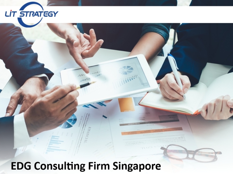 EDG consulting firm Singapore by LiT Strategy on Dribbble