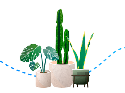 Plants branding design illustration product design vector
