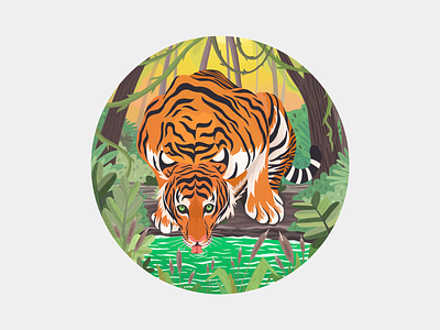 Tiger animal illustration jungle procreate tiger wildlife 老虎 自然 野生动物 雨林