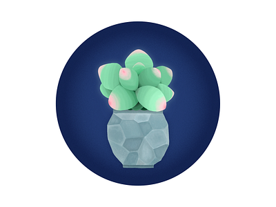 Succulent-plant cactus digital art icon illustration plant procreate succulent