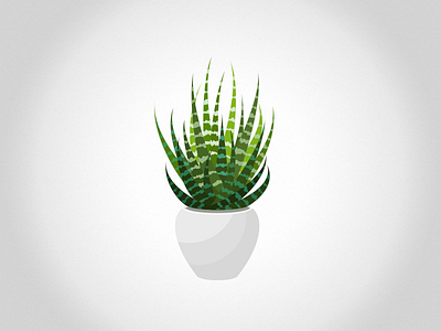 Succulent Plant 1