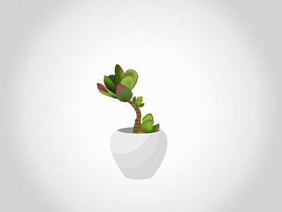 Succulent Plant 2