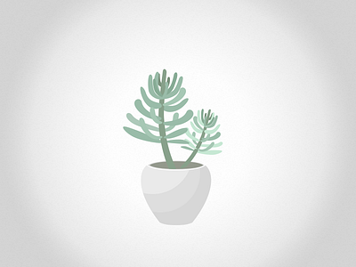 Succulent Plant 3