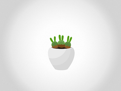 Succulent Plant 7