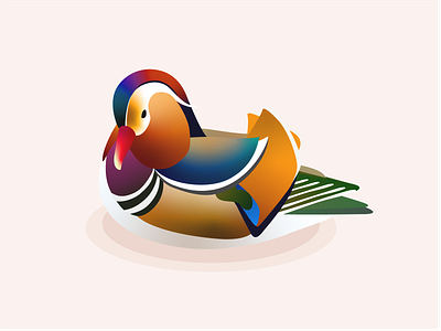 Mandarin Duck autumn bird clean color duck gradient icon illustration simple ui