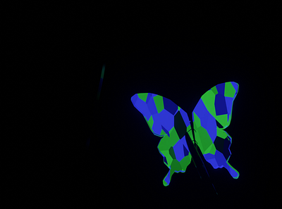 Flyyyy Butterfly 3d