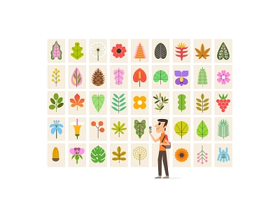 THE POWER OF NATURE art botanic botanical brasil character design clean colors design digital art flower flowers illustration itaucultural museum naturaleza nature plant plants shapes vector