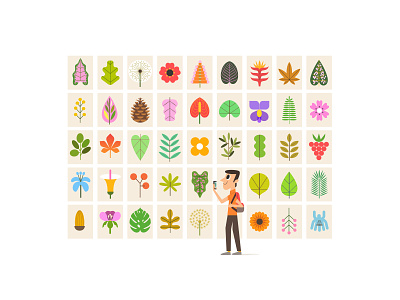 THE POWER OF NATURE art botanic botanical brasil character design clean colors design digital art flower flowers illustration itaucultural museum naturaleza nature plant plants shapes vector