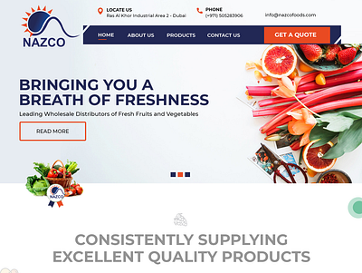 Nazcofoods https://www.nazcofoods.com/ creative web design design ui ui ux user interface design ux web design website