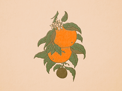 Botanical Oranges