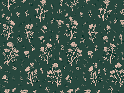 Queen Anne's Lace design floral illustration nature pattern queen annes lace wildflowers