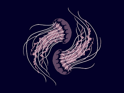 Jellyfish design illustration jellyfish nature pattern sea creatures