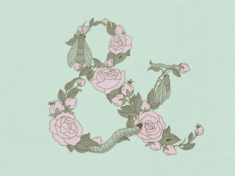 Floral Ampersand floral ampersand ampersand flowers illustration hand lettering floral type illustrated type typography nature floral