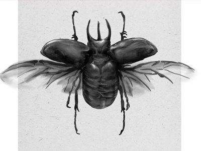 Rhinoceros beetle illustration beetle digital painting illustration photoshop rhinoceros beetle speed paint wacom