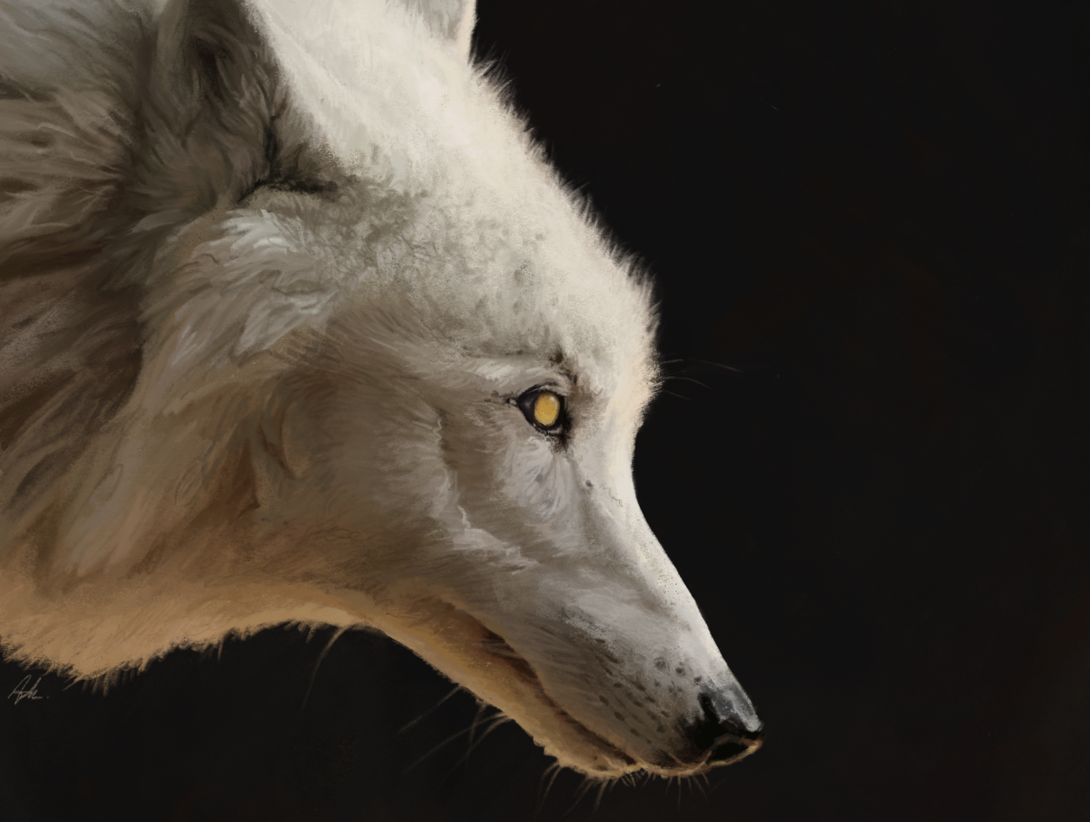 white wolf side profile
