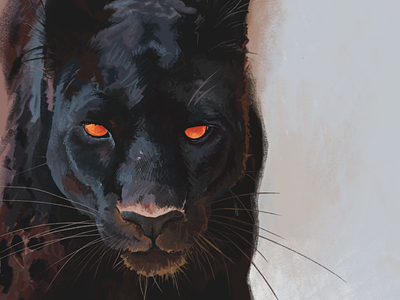 Black Panther - Digital Art Painting