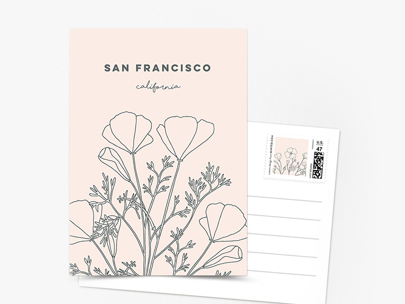 Golden California Poppies sketching stationery belia simm postcard san francisco flowers poppies california golden california poppies