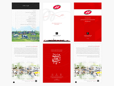 Kalleh Customer Accounting Management app brand identity branding dashboad design graphic design ui ux