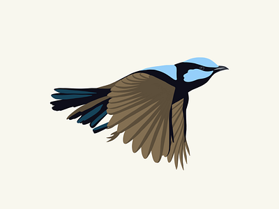 Fairy Wren Illustration 2d illustration australian bird bird blue wren fairy wren flat illustration illustration vector wren