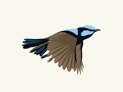 Fairy Wren Illustration