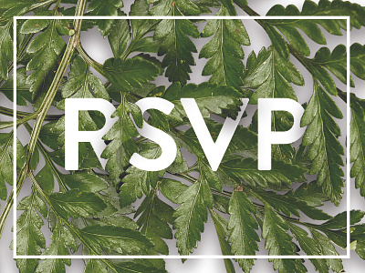 RSVP card invite minimal print rsvp typography wedding wip