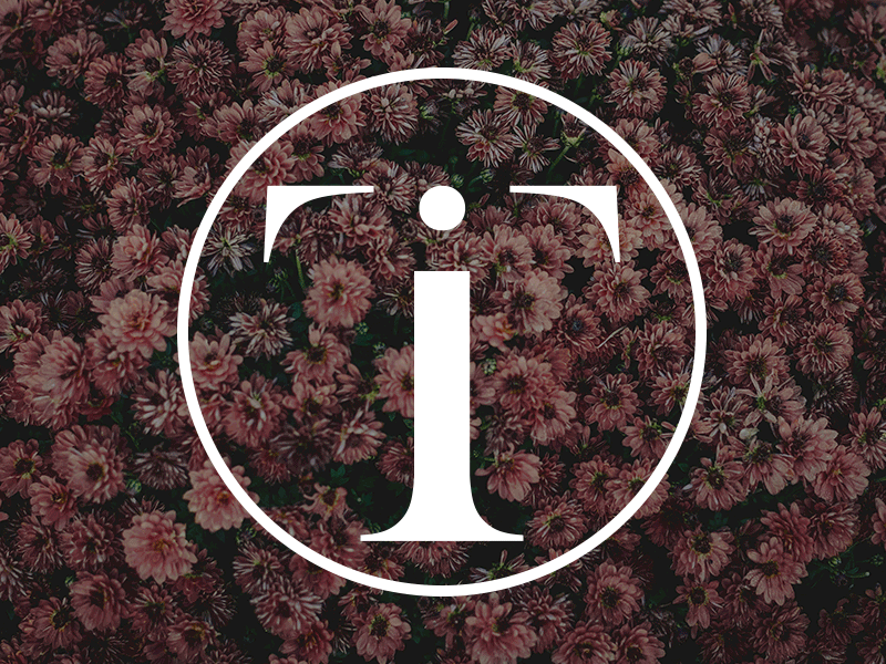 T + I badge blog branding flat flowers gif icon inspiration logo monogram ti