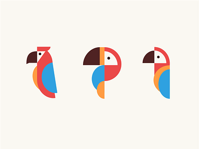 Tropical Birds bird birds branding colorful costa rica hawk illustration logos macaw toucan