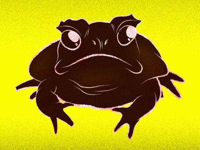 Toasty Toad animal animation christmas frog holiday illustration