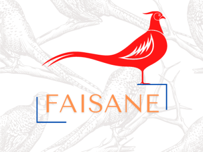 Faisane branding business card colourful design logo modern theme